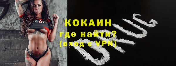 индика Пестово