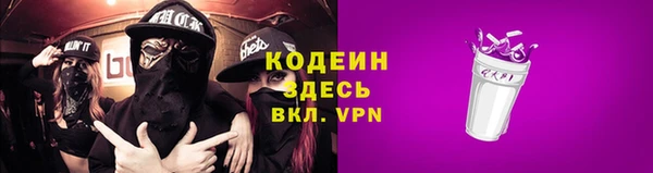 индика Пестово