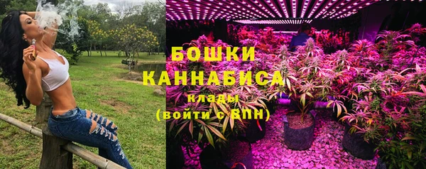 ECSTASY Пересвет