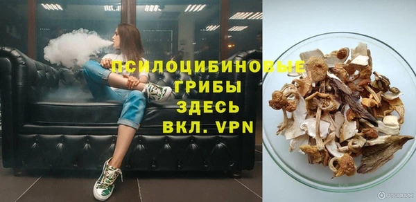 дурь Горнозаводск